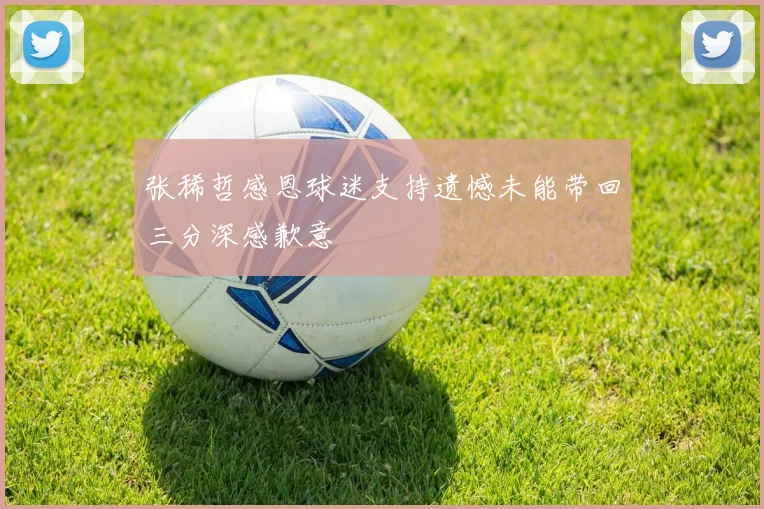 张稀哲感恩球迷支持遗憾未能带回三分深感歉意