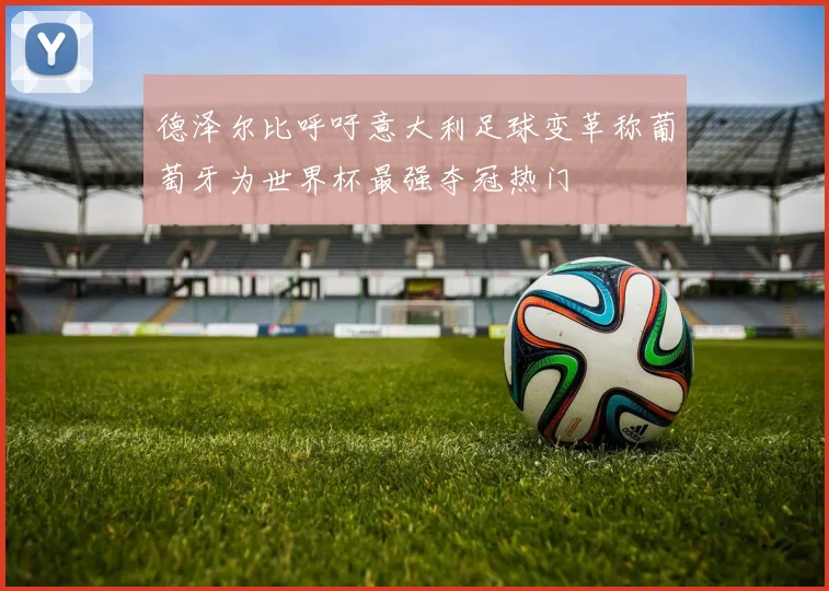德泽尔比呼吁意大利足球变革称葡萄牙为世界杯最强夺冠热门